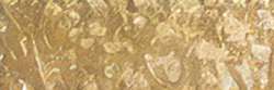 Holbein - Artists' Colored Pencil, Matite colorate per artisti, sfuse, Olive brown