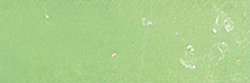 Holbein - Artists' Colored Pencil, Matite colorate per artisti, sfuse, Fresh green