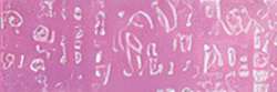 Holbein - Artists' Colored Pencil, Matite colorate per artisti, sfuse, Rose grey
