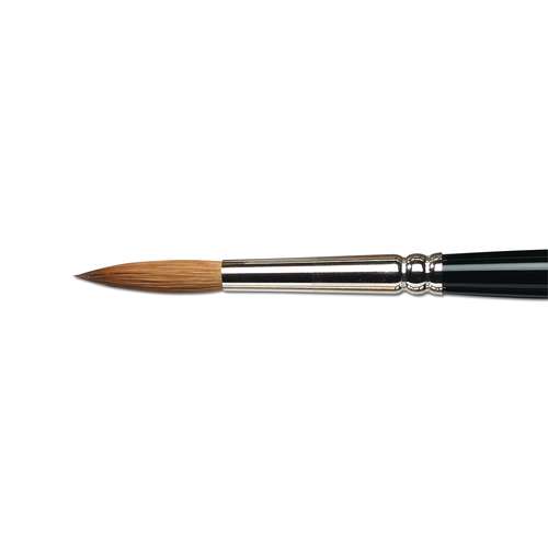 Set Da 5 Pennelli Sintetici Winsor & Newton Per Acrilico | Manico Lungo E Corpo Medio-rigido | Ideali Per Texture Fluide O Dense