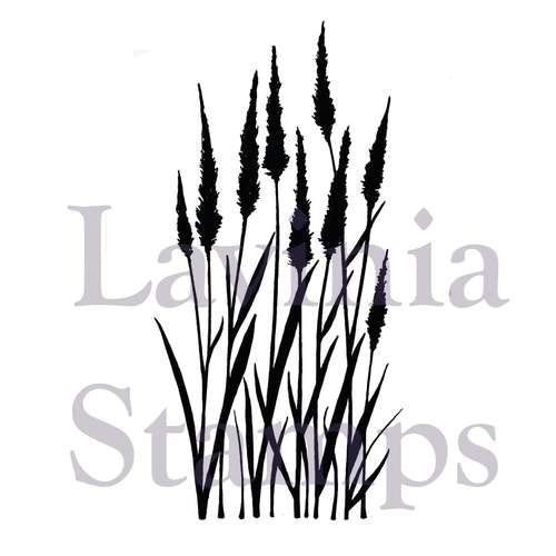 Lavinia - Timbro, Meadow Grass 