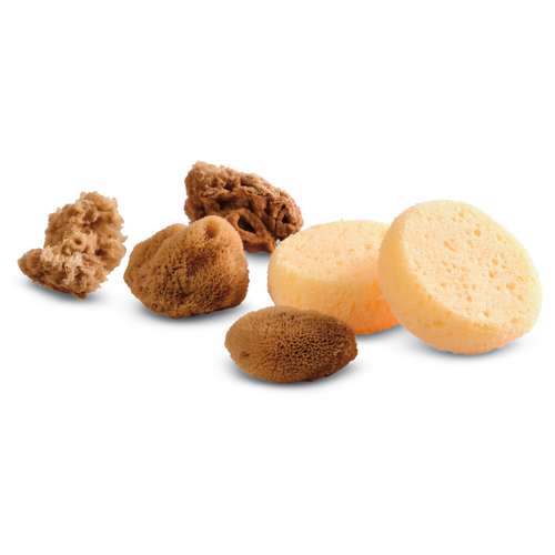 Royal & Langnickel - Set da 6 spugne per acquerello 