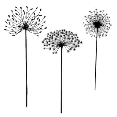 Lavinia - Timbro, Dandelions 